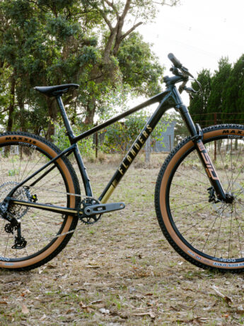 Berg 29er